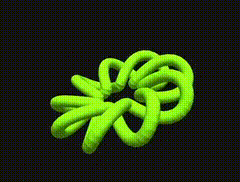 /JosephFerano/pqtorusknot/media/branch/master/media/green-p2q9.gif